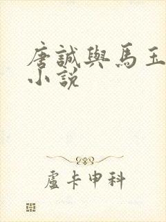 唐诚与马玉婷的小说