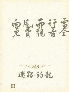 向风而行电视剧免费观看全集剧情封面