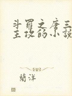 斗罗之唐三受男主攻的小说