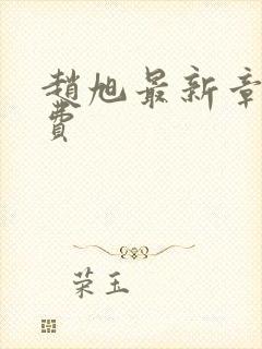 赵旭最新章节免费