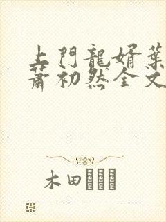 上门龙婿叶辰,萧初然全文免费下载txt封面