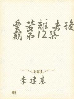 爱若离去后会无期第12集