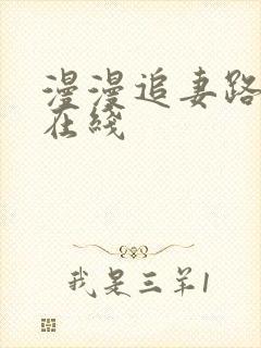 漫漫追妻路小说在线