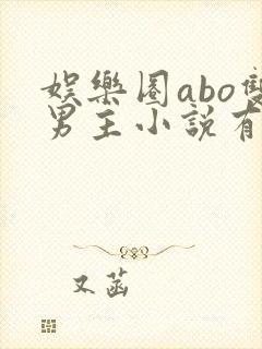 娱乐圈abo双男主小说有哪些封面