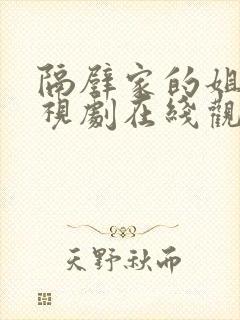 隔壁家的姐姐电视剧在线观看全集封面