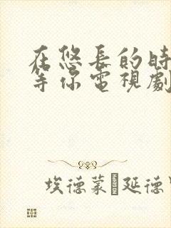 在悠长的时光里等你电视剧全集免费