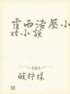 霍雨浩压小舞txt小说