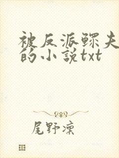 被反派鳏夫盯上的小说txt