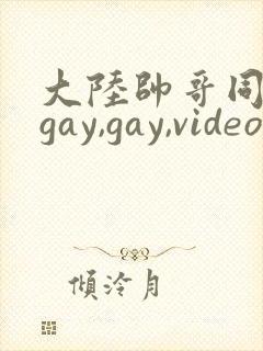 大陆帅哥同性恋gay,gay,videos
