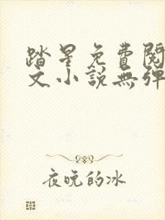 踏星免费阅读全文小说无弹窗