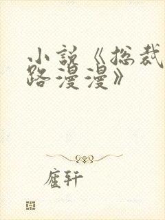 小说《总裁追妻路漫漫》