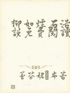 柳如烟石浩的小说免费阅读全文封面