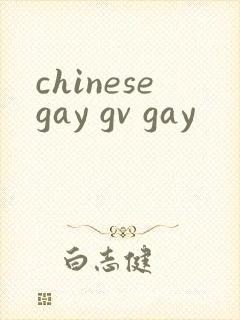 chinesegay gv gay封面