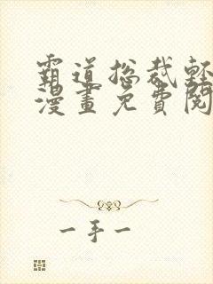 霸道总裁轻轻爱漫画免费阅读下拉式