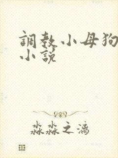 调教小母狗sm小说封面