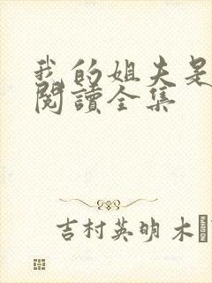 我的姐夫是太子阅读全集封面