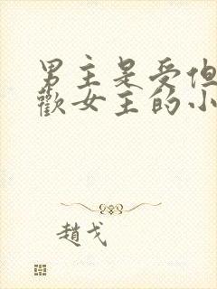 男主是受但是喜欢女主的小说