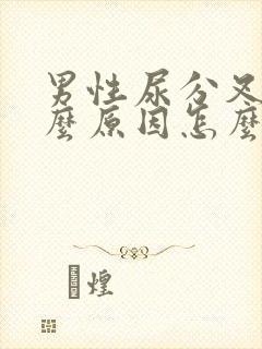 男性尿分叉是什么原因怎么治疗封面