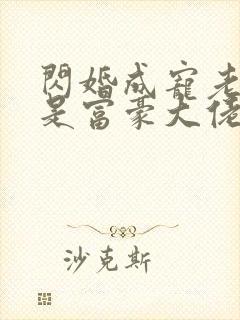 闪婚成宠老公竟是富豪大佬