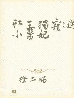 邪王独宠:逆天小医妃