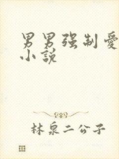 男男强制爱高h小说