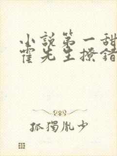 小说第一甜妻:霍先生撩错了