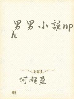 男男小说np高h