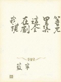 我在这里等你电视剧全集免费观看