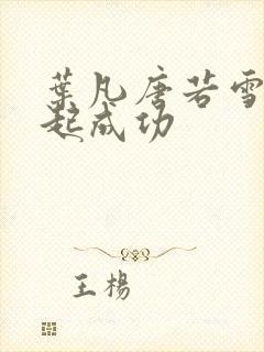 叶凡唐若雪 一起成功封面