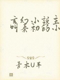 玄幻小说主人公叫秦初的小说