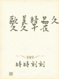 欧美精品久久久久久午夜