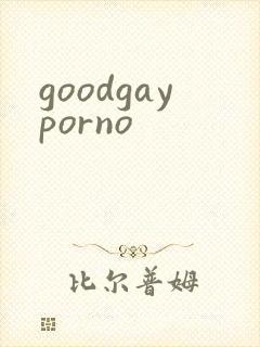 goodgayporno封面