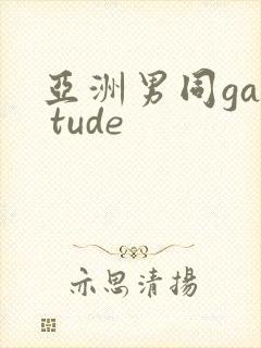 亚洲男同gay tude