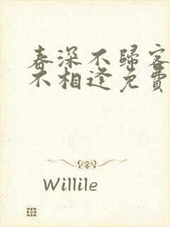 春深不归客清梦不相逢免费阅读全文