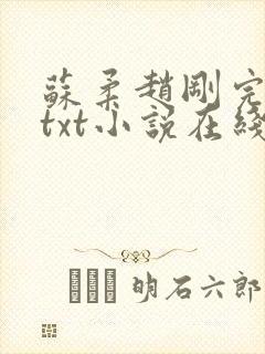 苏柔赵刚完整版txt小说在线阅读