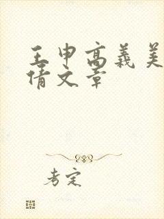 王申高义美红孙倩文章