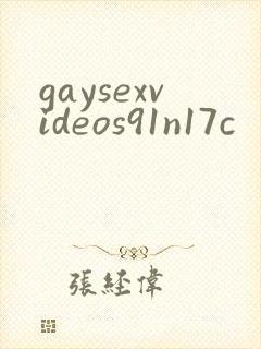 gaysexvideos91n17c