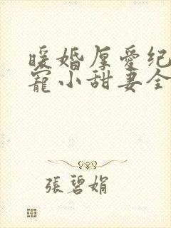 暖婚厚爱纪总独宠小甜妻全集封面