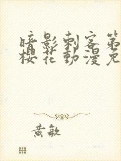 暗影刺客第三季樱花动漫免费观看