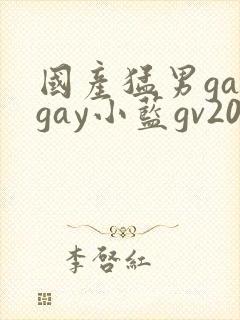 国产猛男gaygay小蓝gv2024