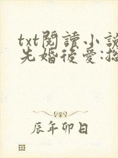 txt阅读小说先婚后爱:总裁老公狂宠妻