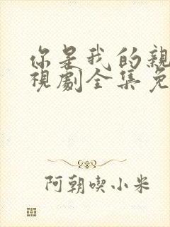 你是我的亲人电视剧全集免费观看封面