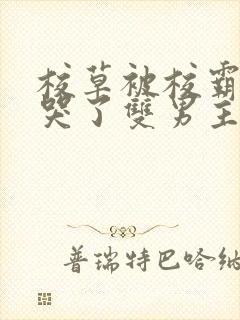 校草被校霸欺负哭了双男主