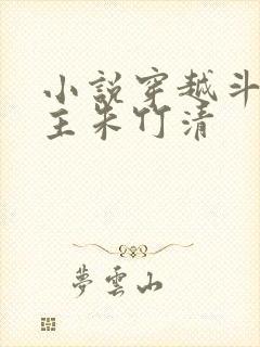 小说穿越斗罗女主朱竹清