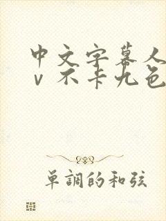 中文字幕人妻aⅴ不卡九色