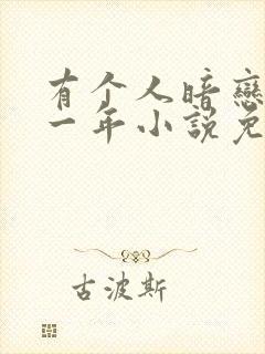 有个人暗恋我十一年小说免费阅读