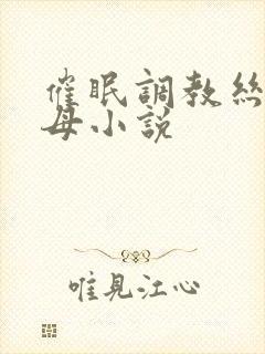 催眠调教丝袜美母小说封面