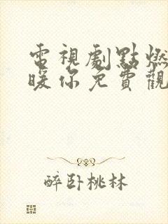 电视剧点燃我温暖你免费观看全集高清