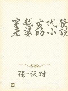 穿越古代发三个老婆的小说