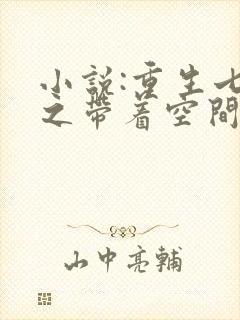 小说:重生七零之带着空间去下乡封面